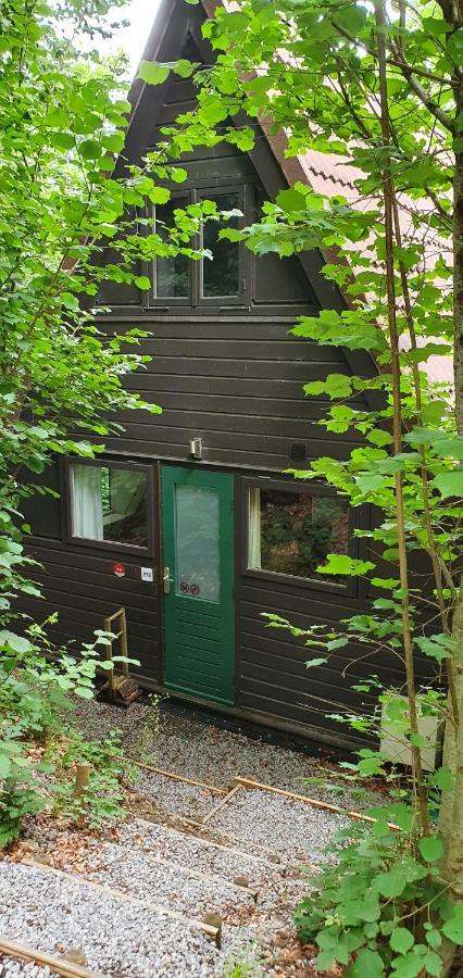 Boshuisje Durbuy Met Zwembad Op Het Park Exterior foto