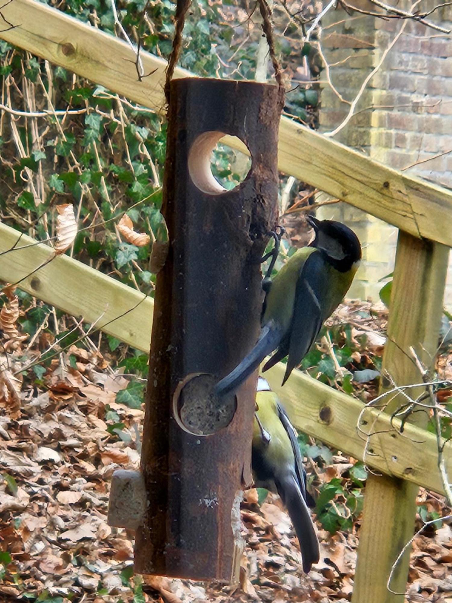 Boshuisje Durbuy Met Zwembad Op Het Park Exterior foto